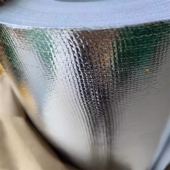 Glasfaser selbst